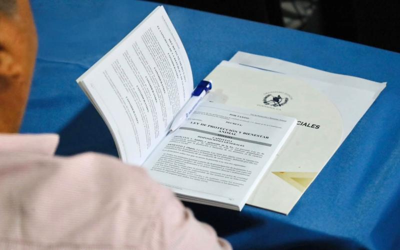 Capacitación fortalece la aplicación de la Ley de Protección y Bienestar Animal
