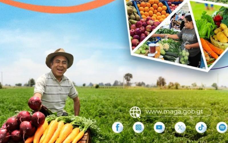 El sabor del campo llega a Zacapa