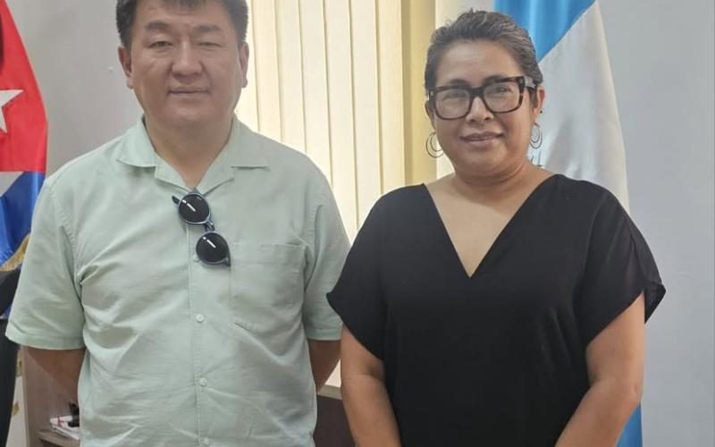 nota de prensa