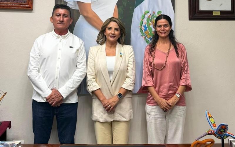 nota de prensa