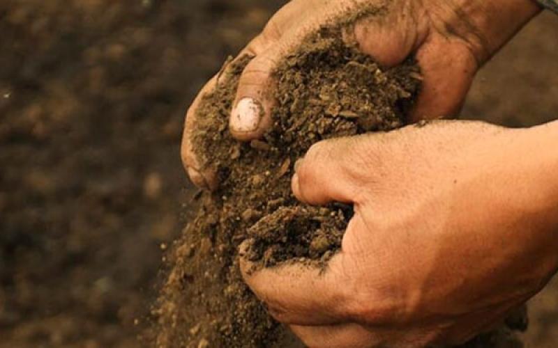 Día de la Lucha contra la Desertificación y la Sequía