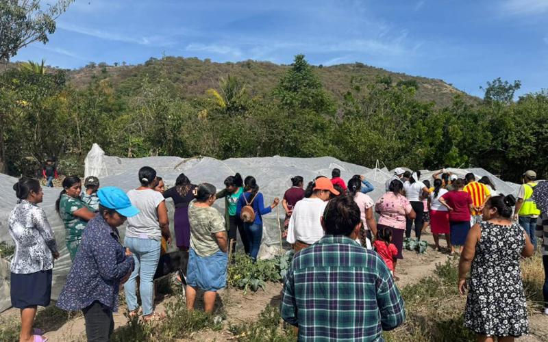Agricultores diversifican su alimentación gracias a la cosecha del huerto comunal