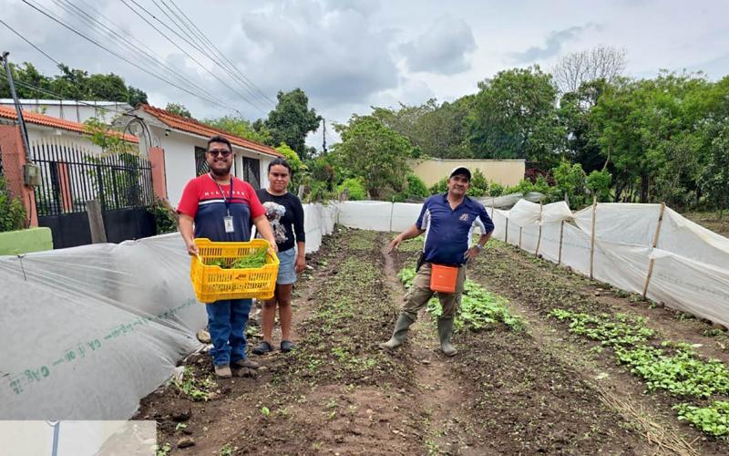 Diversifican cultivos de hortalizas con entrega de pilones