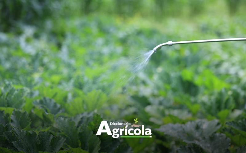 Diccionario Agrícola: Fertilización Foliar