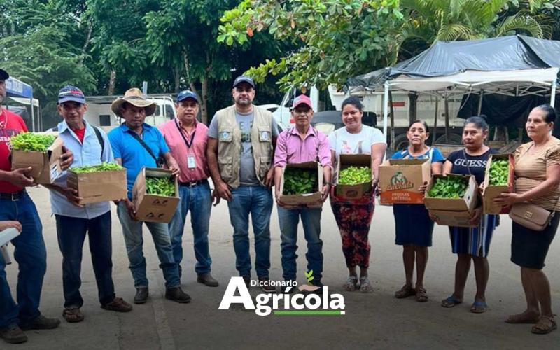 Diccionario Agrícola: Promotor Agrícola