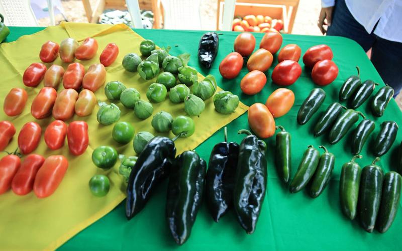 Impulsando la producción que nos alimenta