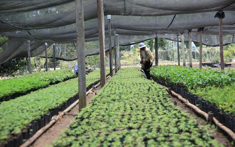 Proteger los recursos naturales: clave para el futuro de la agricultura