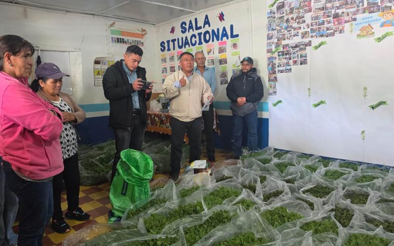 Entregan pilones de hortalizas para impulsar la seguridad alimentaria en San Marcos