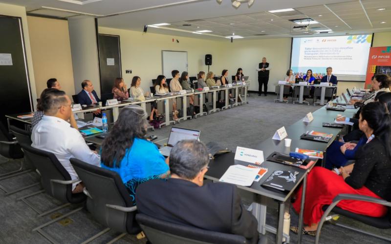 Participantes en el encuentro regional sobre Cooperación Sur Sur