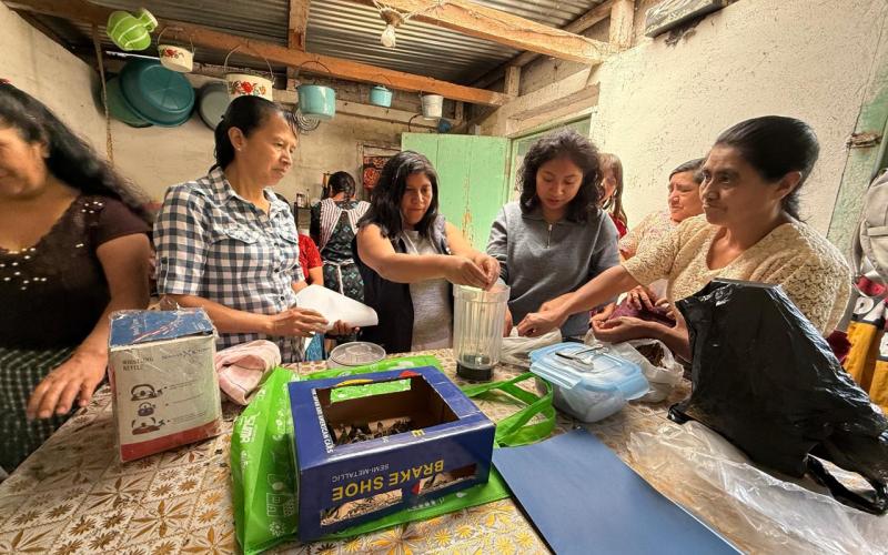 Elaboración de té artesanal impulsa economía de familias en San Marcos