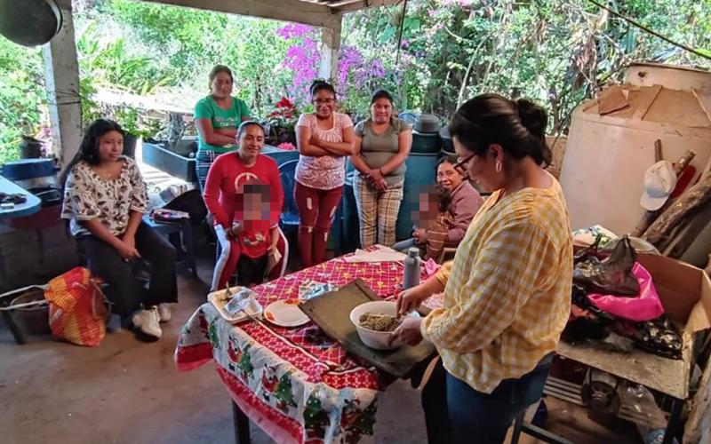 Elaboran sazonadores artesanales con plantas nativas