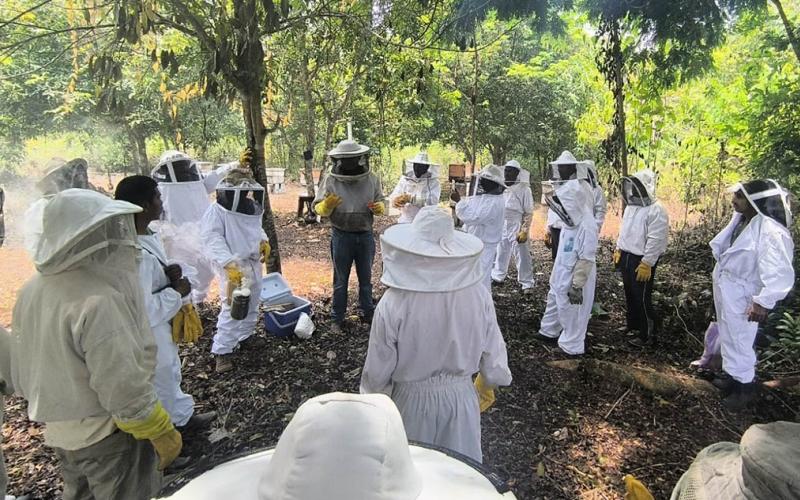 Fortalecen conocimientos de apicultores en crianza de reinas y manejo de colmenas