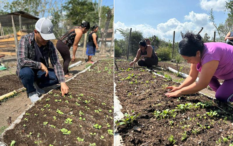 Fortalecen huerto comunitario en Jalapa para impulsar producción de hortalizas 