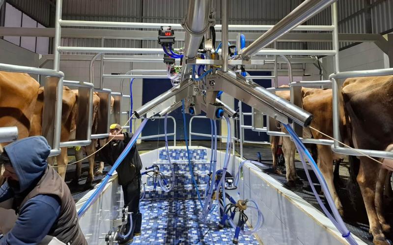 Crecen los controles de inocuidad y vigilancia sanitaria de la leche 