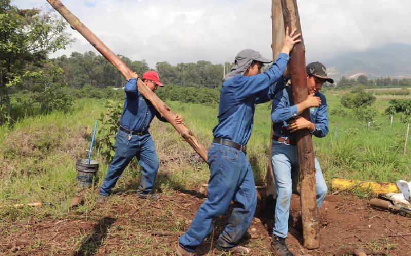 Futuros profesionales agrícolas potencian competencias en manejo de recursos forestales 