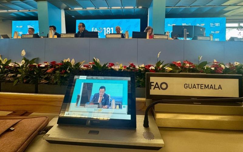 nota de prensa