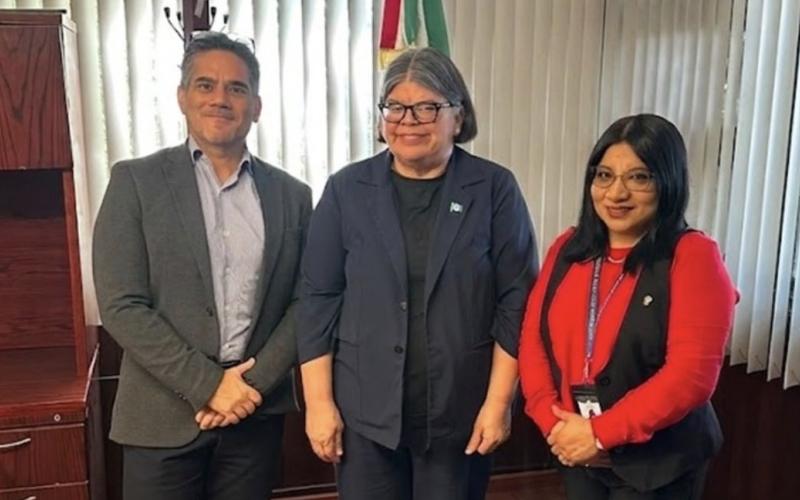 nota de prensa