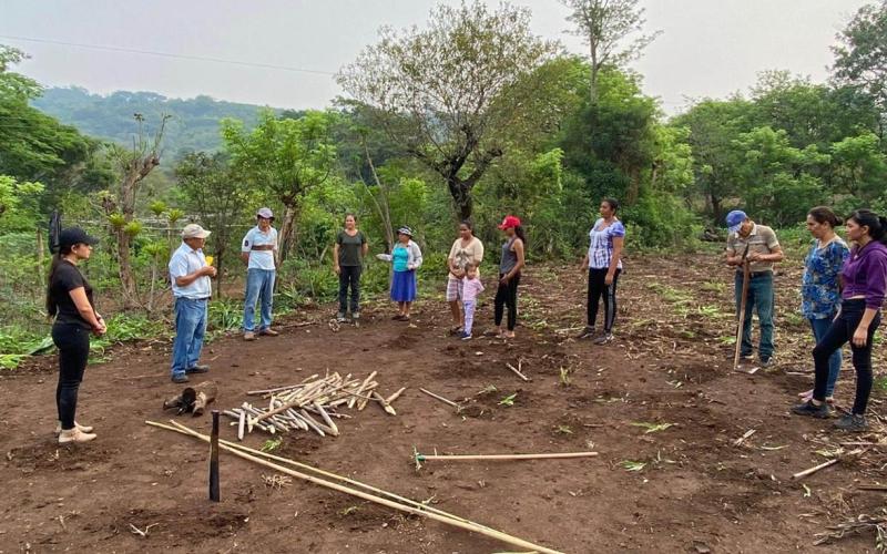 Identifican riesgos por lluvias y calor en cultivos de 147 municipios
