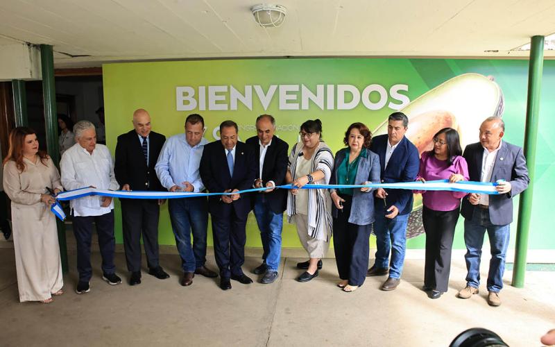 Sector aguacatero fortalece alianzas para ampliar mercados de exportación