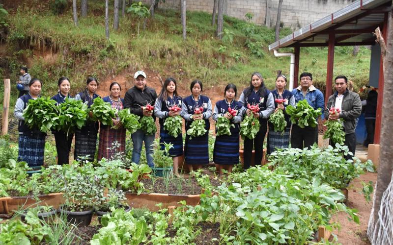 Impulsan la producción de hortalizas y educación nutricional en instituto de Chimaltenango