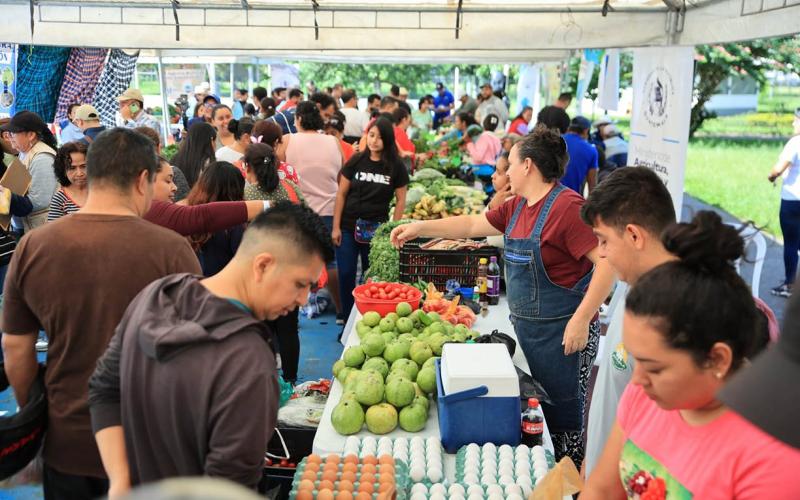 Nueva edición de la Feria del Agricultor conecta el campo con la capital