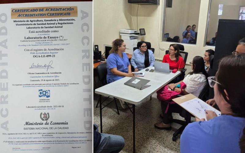 Laboratorio de Sanidad Animal mantiene acreditación ISO
