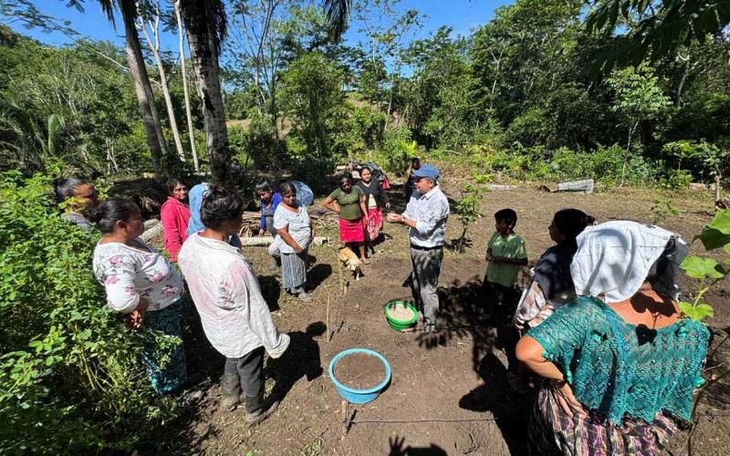 Mujeres reactivan huerto comunal en Ixcán