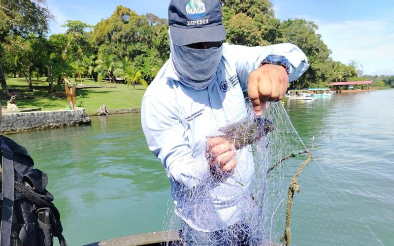 Verifican cumplimiento de la veda pesquera en Izabal