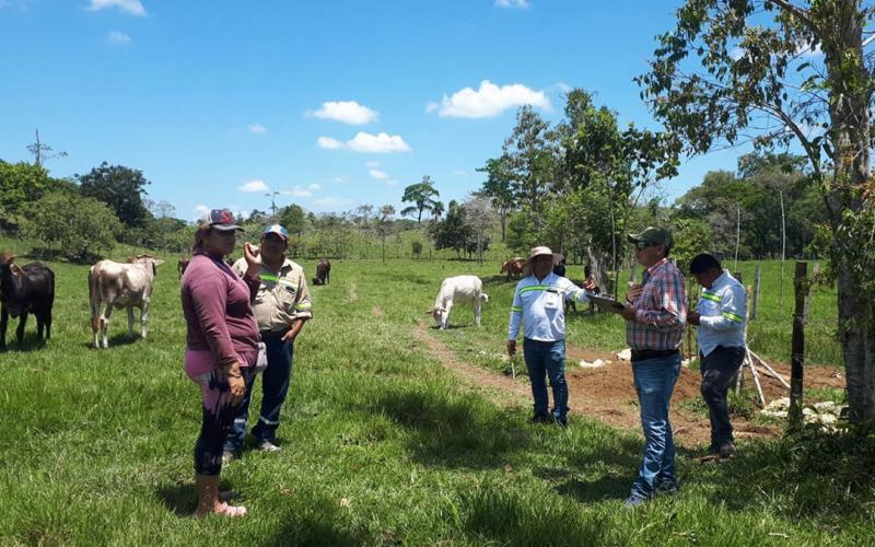 Pasturas de bajas emisiones apoyan resiliencia de productores de Alta Verapaz