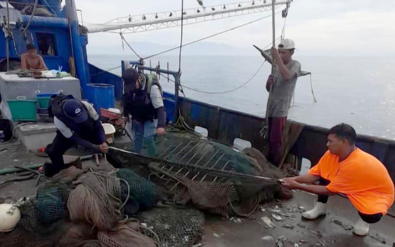 Verifican que embarcaciones camaroneras usen dispositivos de protección de tortugas marinas