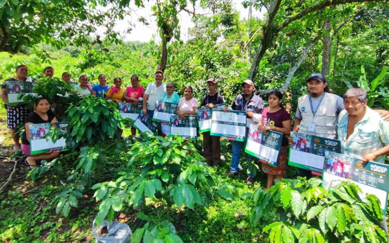 Promueven sistemas agroforestales y manejo nutricional en cultivos de café