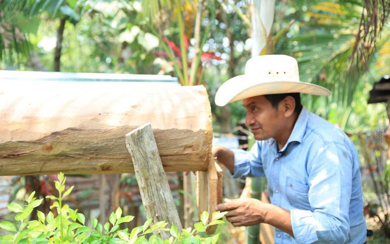 Reconocen el valor e importancia de la práctica de la Meliponicultura en Guatemala