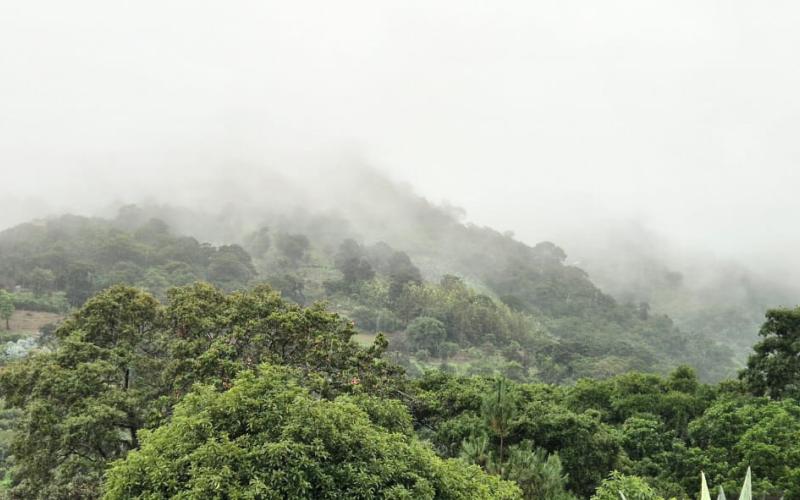 Semana de calor, humedad y lluvias