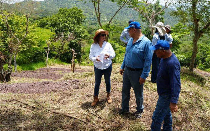Técnicas de conservación de suelos fortalecen la producción sostenible en Chiquimula