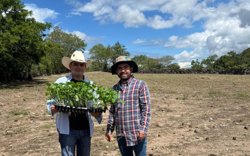 Tecnología agrícola en Jalapa optimiza rendimiento de hortalizas