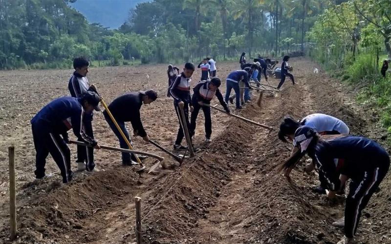 Estudiantes de Rabinal aprenden técnicas para el cultivo de yuca
