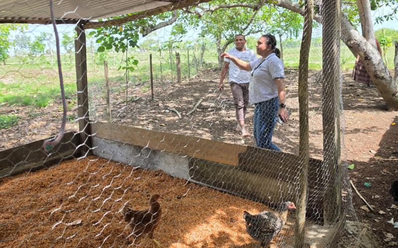 Verifican condiciones de crianza de aves en San Francisco, Petén