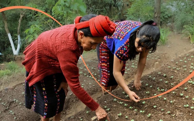 Proteja sus cultivos con plaguicidas orgánicos