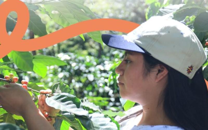 2026: Año Internacional de la Agricultora