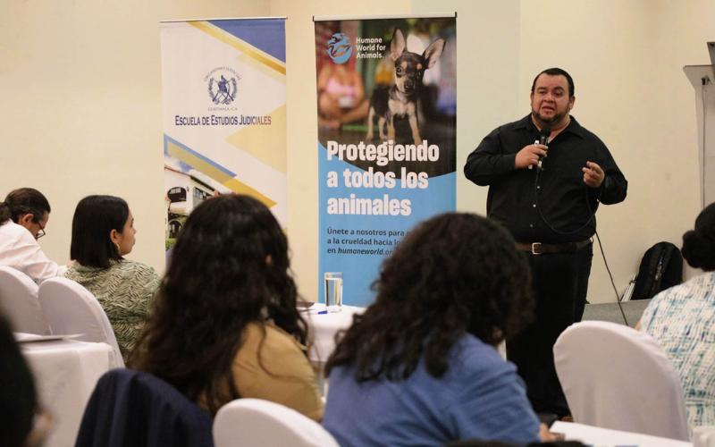 Jueces participan en taller relativo a la Ley de Protección y Bienestar Animal