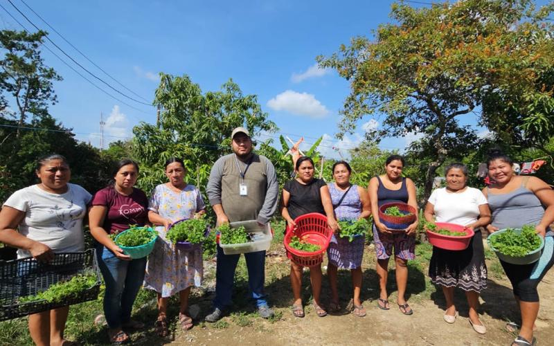 Entregan pilones de hortalizas a familias de Dolores y San Luis