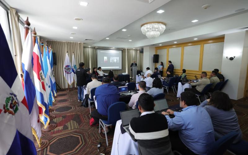 Región fortalece estrategias contra la Peste Porcina Africana