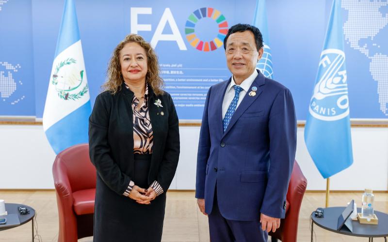 Viceministra de VISAN se reúne con el Director General de la FAO