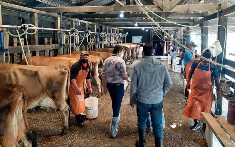 Leche: fuente de proteína y desarrollo