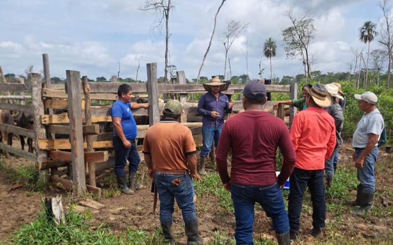 Ganaderos peteneros amplían conocimientos en sanidad bovina