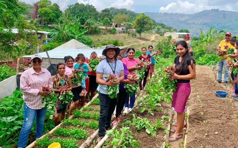 Familias agricultoras y cultivos estratégicos recibirán apoyo ante riesgo de sequía en 2026