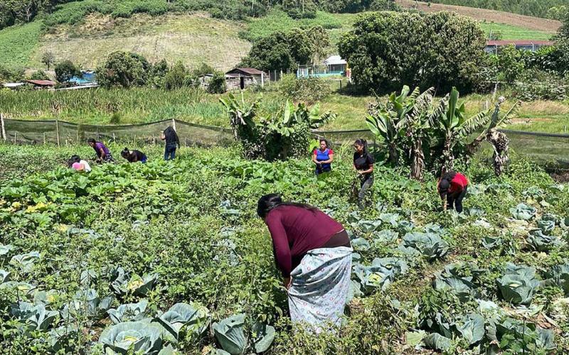 Avanzan proyectos comunitarios para incorporarse al programa APA