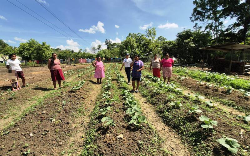 Mujeres de CADER fortalecen conocimientos del cultivo de pepino