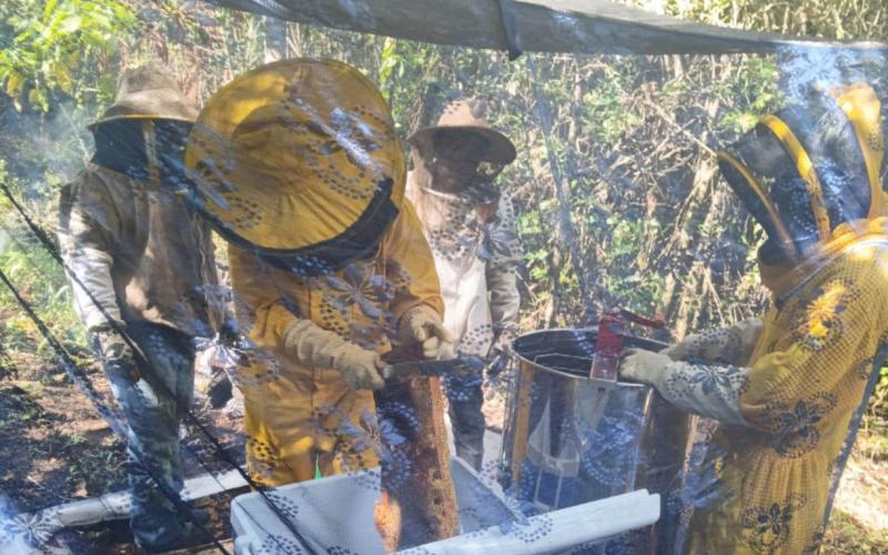 Productores apícolas capacitados para mejorar cosecha de miel y cera