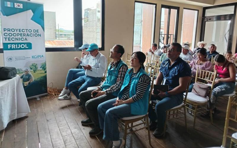Agricultores fortalecen prácticas para proteger su salud, sus cultivos y el medio ambiente